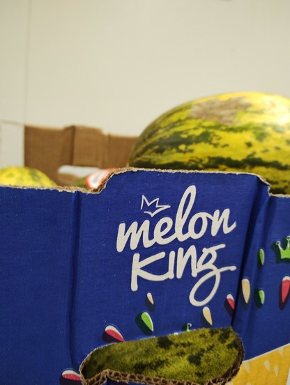 A picture of Melon King brand melons