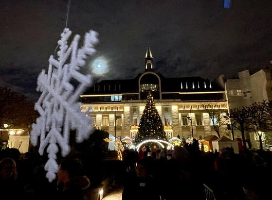 La mairie et le sapin illuminé 