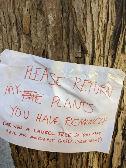 A hastily scrawled note taped to a tree that says "Please return my plants you have removed", then in small writing "one of them was a laurel tree so you may have an Ancient Greek curse now?"