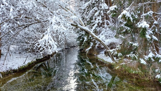 Blick von einer Brücke in der Mitte des Baches auf den Bach. Schneebedeckte Zweige hängen von beiden Seiten über den Bach wie ein Kuppeldach.