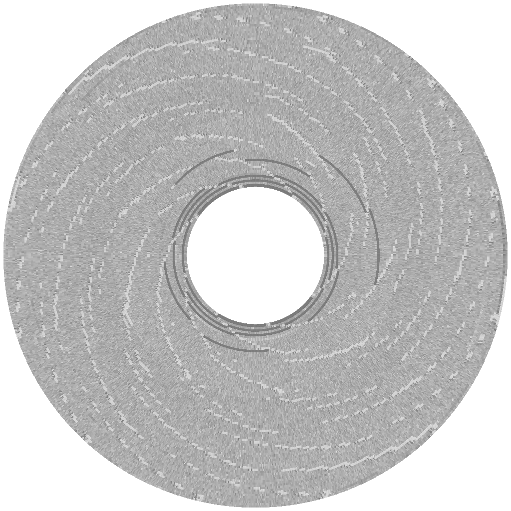 flux visualization of "Borrowed Time" disk