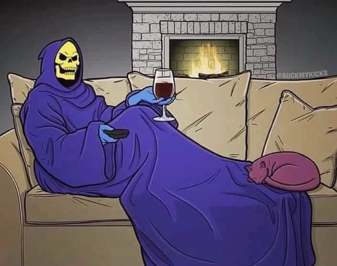 Skeletor in 2024 a snuggie