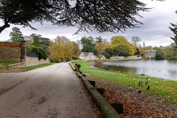 A single vehicle width road way stretches from the bottom left of the image, to the middle right slowly curving around a lake on the right hand side. There is a grass verge between the lake and the roadway with birds standing on the grass. To the left of the road a wall and trees following the curve of the road around to the right showing autumnal colours.