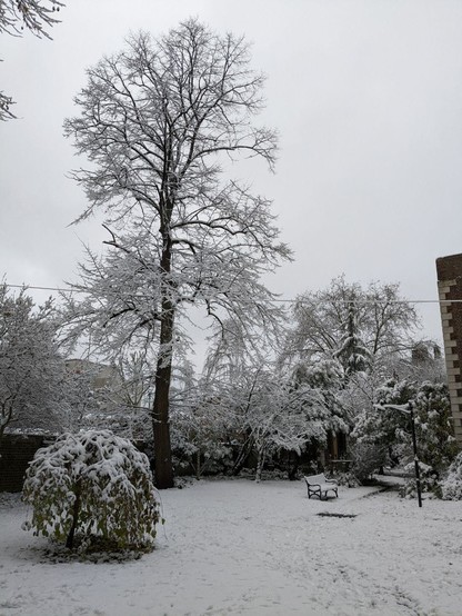 Sne i London
