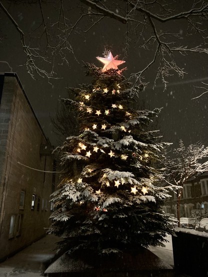 Photo of a tall fir tree at night covered in snow. The tree is wrapped in a bright festoon of star lights. At the top is a single giant star lit up in orange and pinks.