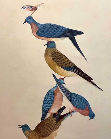 Detail from Talia Greene's "Precarious Balance" series featuring birds perching upon each other.