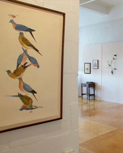 Interior view of Past Present Projects gallery, featuring the work of Talia Greene.