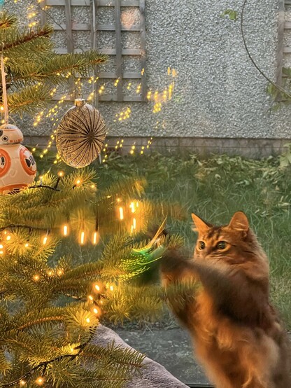 Cat batting ornaments