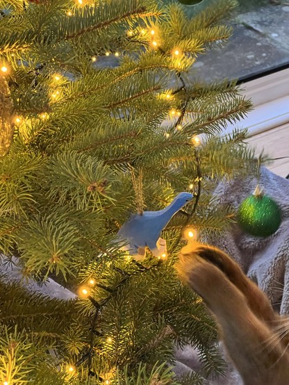 Cat grabbing tree ornament