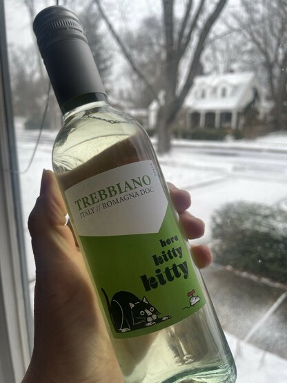 A split bottle of Italian Trebbiano wine with a picture of a black & white cat on it. It is held in front of a bleak wintery street scape 