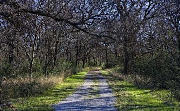 A gravel trail leads through a wooded patch of land. 
