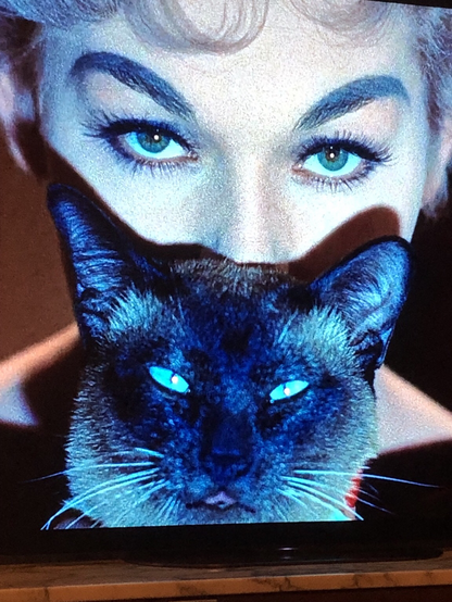 Kim Novak als Protagonistin Gil mit ihrer Katze, von beiden das Gesicht in Nahaufnahme, beide haben leuchtend blaue Augen