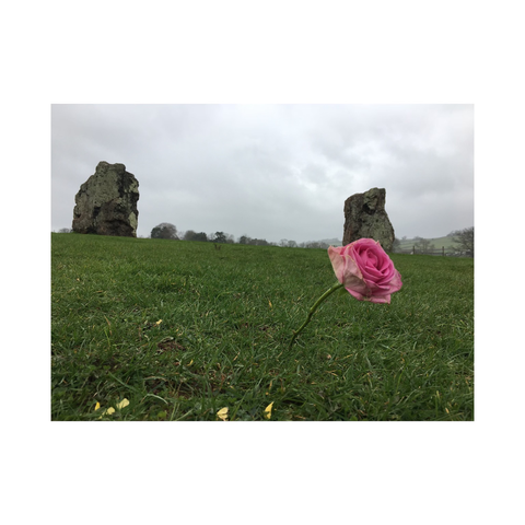 Two stones from the largest circle with a rose left by a visitor