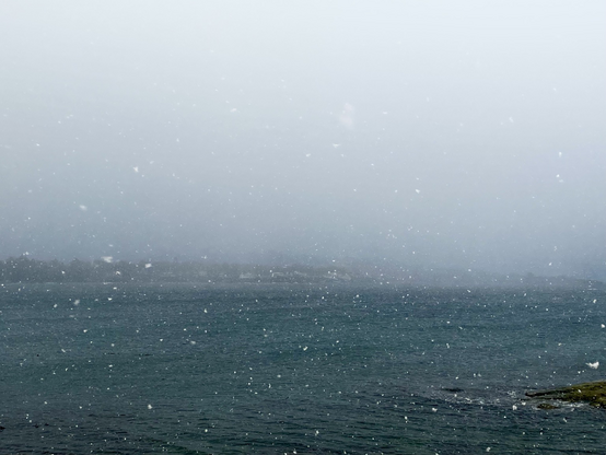 Snow falling on the ocean