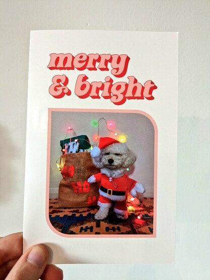 Christmas card that says 'merry and bright' with a photo of a white toy poodle dressed up as father Christmas beside a sack of presents. The poodle looks far from merry and bright.