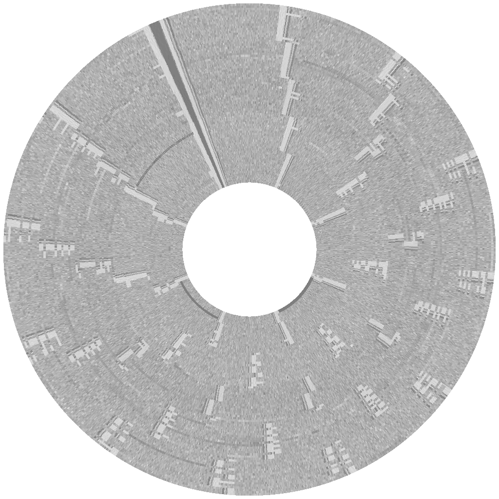 flux visualization of "Forbidden Castle" disk