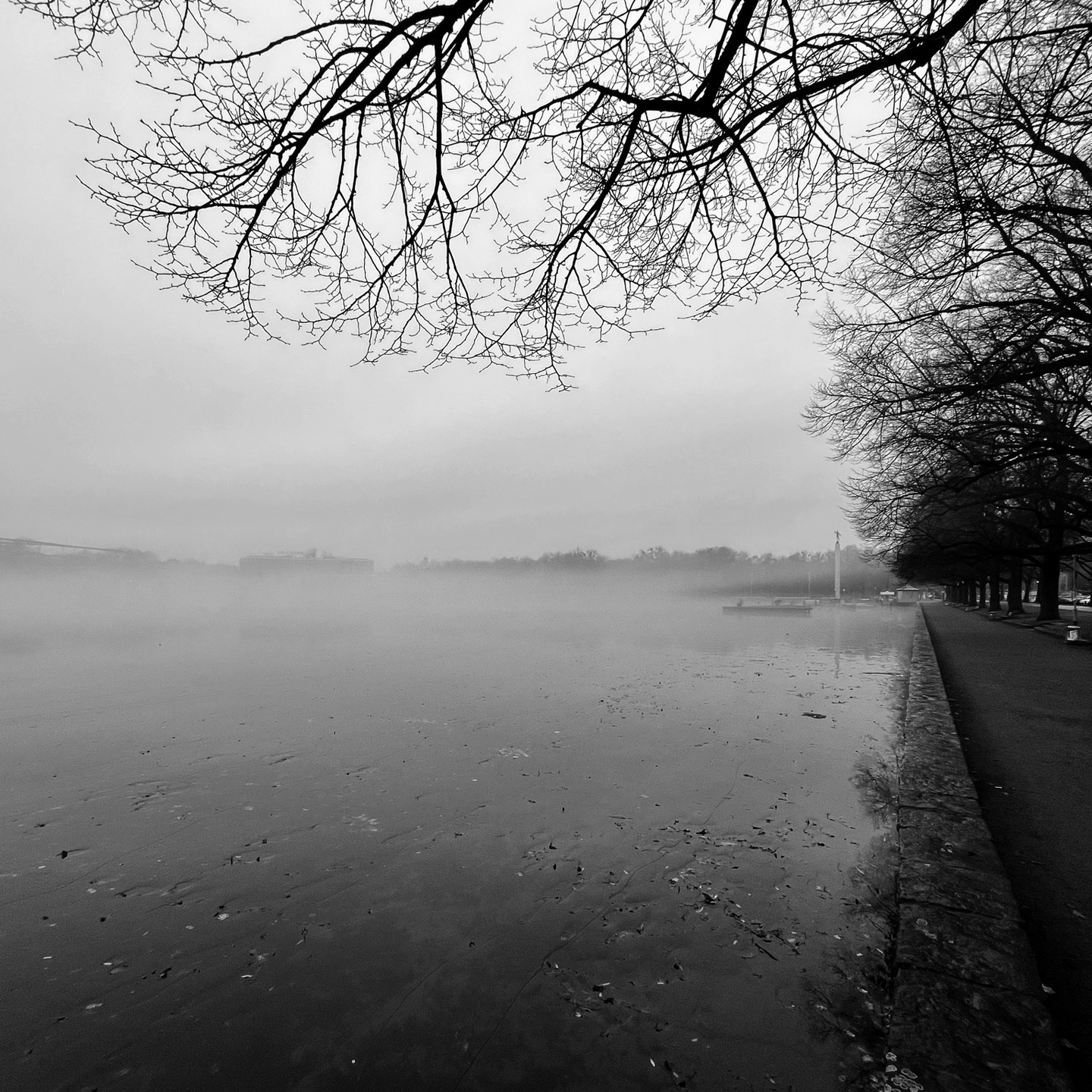Der Maschsee in Hannover in Nebel getaucht