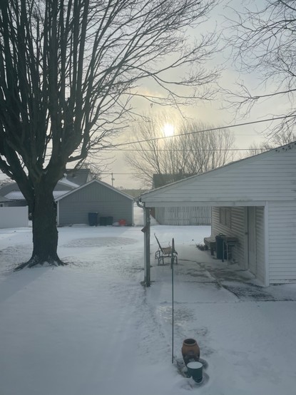Morning view of the back yard with snow and high winds