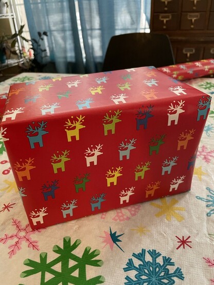 Package wrapped in rainbow colored reindeer on a red background. 