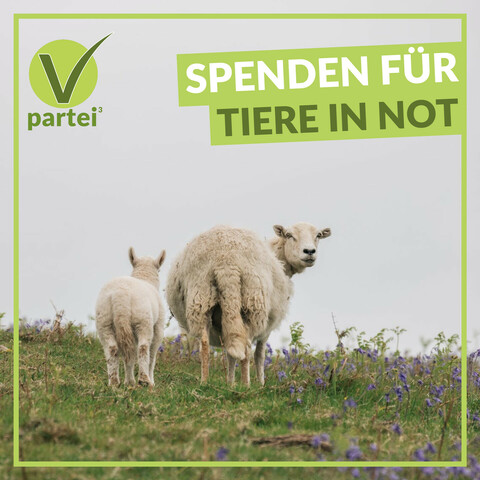 2 Schafe, Logo der V-Partei³ und Text "Spenden für Tiere in Not"