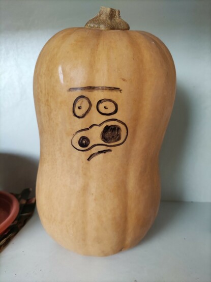 A gourd with a serious face