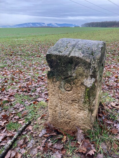 Border stone number 6