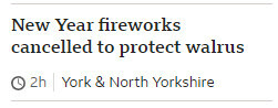 New Year fireworks cancelled to protect walrus.