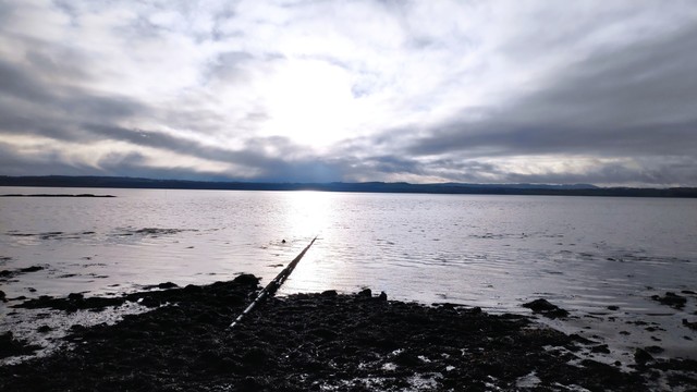 Sun shining on sea