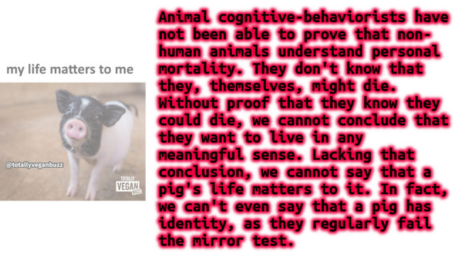 a picture of a pig on the left with a caption that reads "my life matters to me"

on the right, text reading:

Animal cognitive-behaviorists have
not been able to prove that non-
human animals understand personal
mortality. They don't know that
they, themselves, might die.
Without proof that they know they
could die, we cannot conclude that
they want to live in any
meaningful sense. Lacking that
conclusion, we cannot say that a
pig's life matters to it. In fact,
we can't even say that a pig has
identity, as they regularly fail
the mirror test.