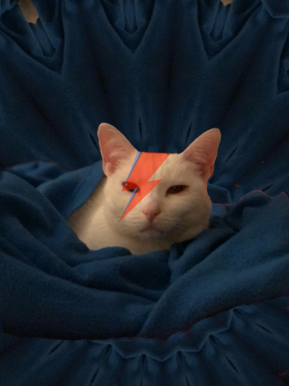 Angelo, a small white domestic shorthaired cat who lives in the PhooleOut Shelter and regularly appears on Phoole and the Gang, is swaddled in a blue blanket and looks cozy and sleepy. Only his face is poking out from the blanket. The red-and-blue David Bowie lightning bolt appears on his face, over his right eye. 
