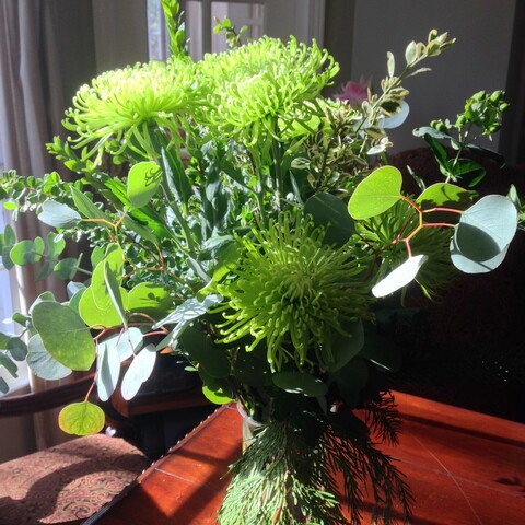 A green table arrangement sitting in the morning sun featuring green spider mums, eucalyptus sprays, and some conifer branches.