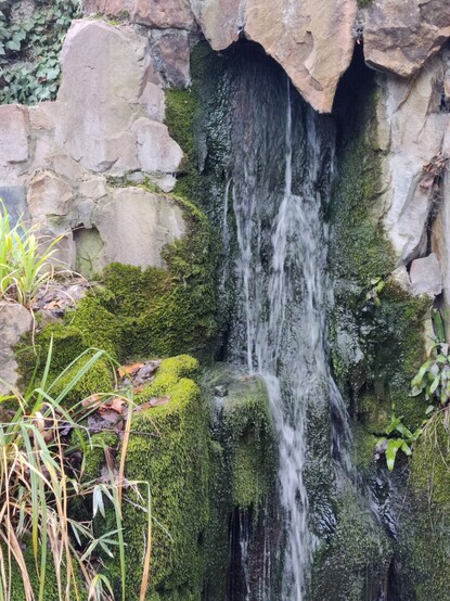 Wasserfall mit Moos