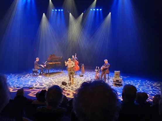 Fado concert met 4 musici op het podium.