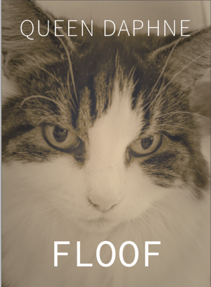 A mock-up of a book cover in the style of Prince Harry's book features a close-up of Daphne, a stern-looking tabby-and-white cat. The author line across the top reads QUEEN DAPHNE and the title, at the bottom of the cover, in a larger and bold font, reads FLOOF.