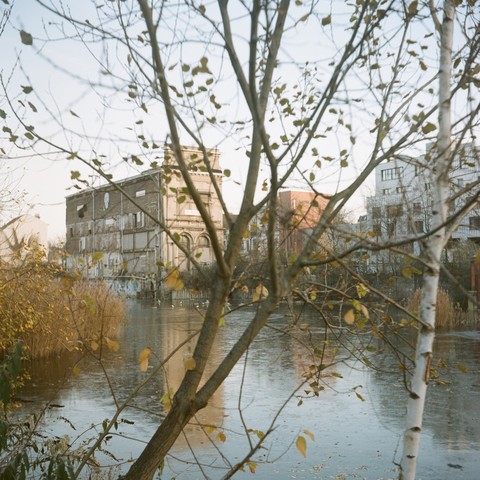 Marais 
