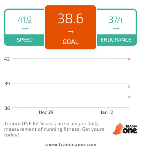 Initial fitness evaluation by TrainAsONE