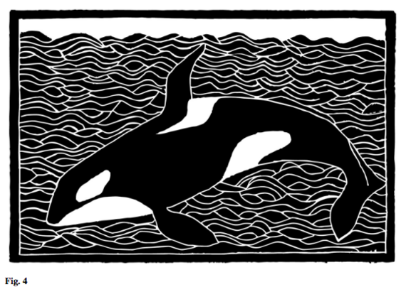 A black and white linocut from the essy, an orca above a sea of waves, two dimensional