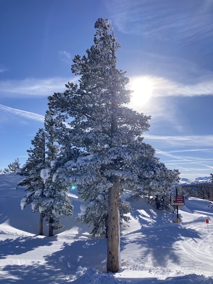 Skiing after sunrise 