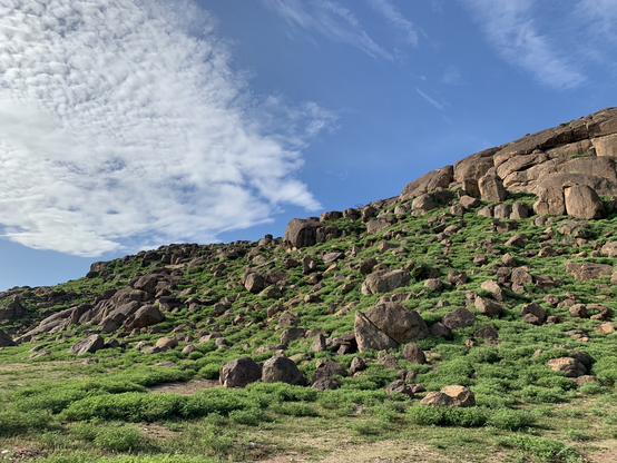 Granite rocks and green grass. It’s a bit of a climb :-) 