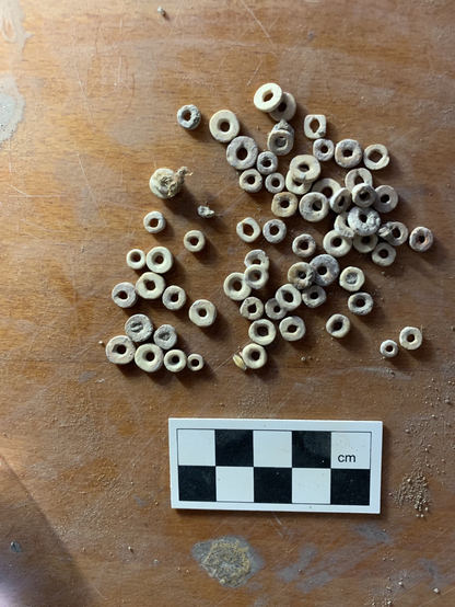 Lots of small ostrich egg shell beads. They are round and fairly flat with a hole in the middle. 