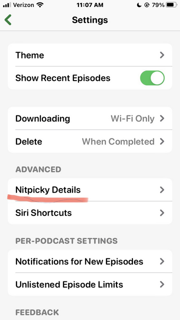 Settings page in the Overcast app with a section titled “Nitpicky Details.”