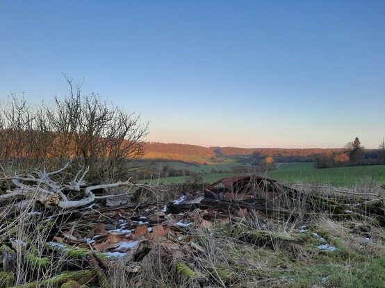 A long view of the car, which lies shored in by a  sprawling mound of old terracotta tiles and dead wood. Its like some mad engineer tried to splice a house and a car and it all went a bit wrong. 