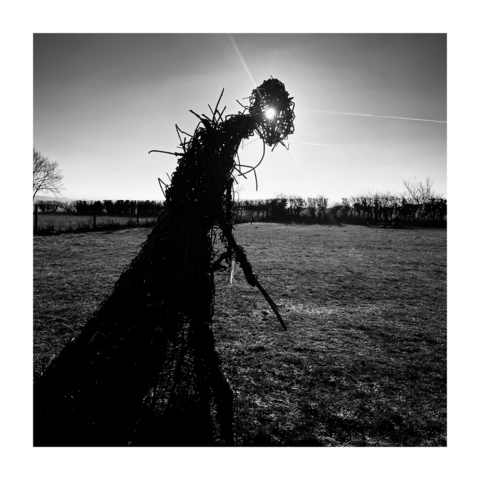 the figure of a witch, constructed from whicker, backlit by low winter sunlight