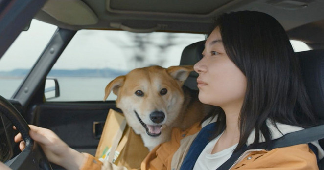 Japanese actor Tôko Miura, and a lovely happy dog in the award winning film 'Drive My Car' (2021) directed by Ryûsuke Hamaguchi