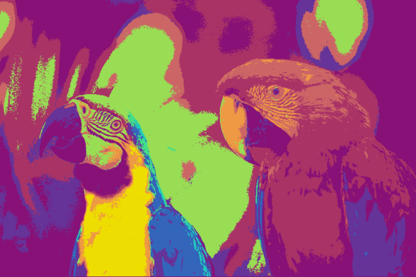 The Kodak Parrots using `pngquant --map a267501b520bb98e.png  --ordered kodim23.png`