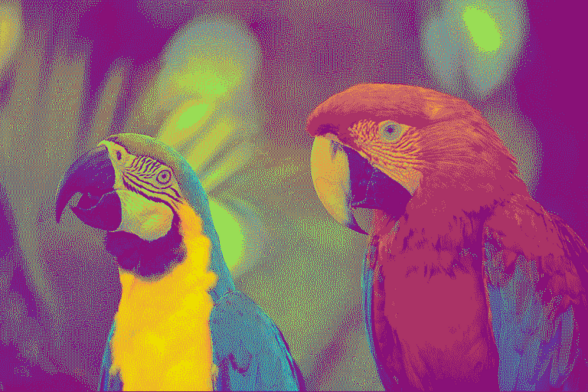 The Kodak Parrots using `pngquant --map a267501b520bb98e.png  --kodim23.png` i.e. floyd-steinberg dithering