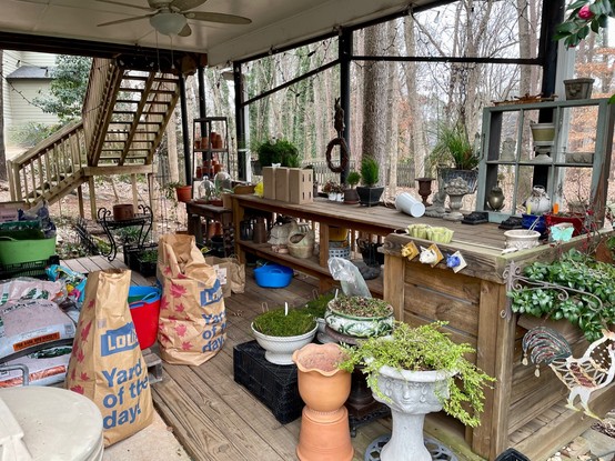 View from the other end of the covered, outdoor She-Shed. Bags of debris filled with old container garden materials, bowls of bulbs newly planted, and boxes of bulbs that need to find a home. It's still looking like a work in progress. 