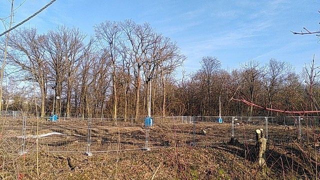 Blick auf mit Gittern abgezäunte Rodungsfläche im Fechenheimer Wald 