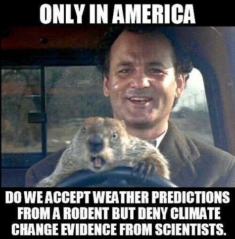 Scene with Bill Murray and a groundhog from the 1993 film Groundhog Day.

Text: “Only in America do we accept weather predictions from a rodent but deny climate change evidence from scientists.”