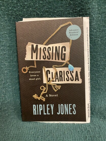 Book cover showing a gold necklace chain with a turquoise pendant wrapped around the book title